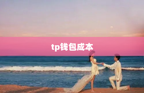 tp钱包成本