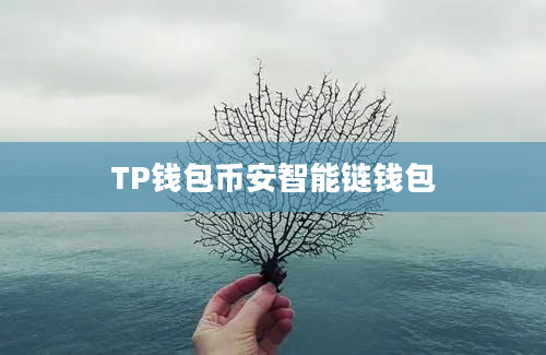 TP钱包币安智能链钱包