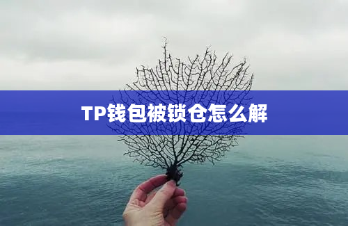 TP钱包被锁仓怎么解