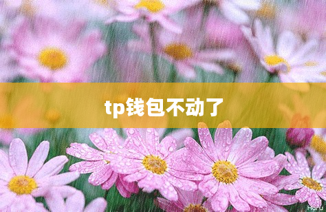 tp钱包不动了