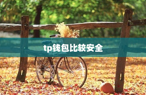 tp钱包比较安全