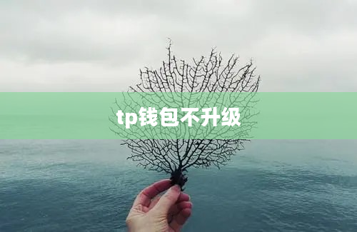 tp钱包不升级