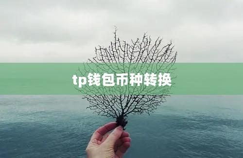 tp钱包币种转换