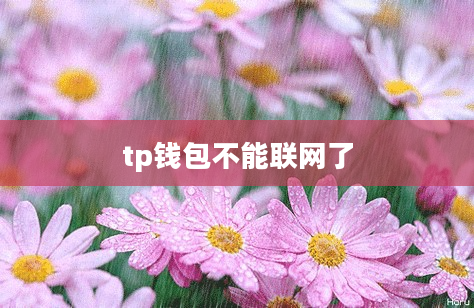 tp钱包不能联网了