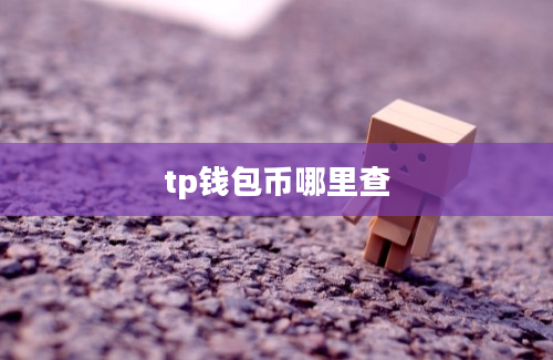 tp钱包币哪里查