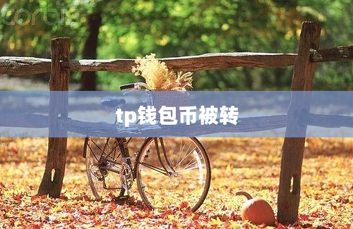 tp钱包币被转