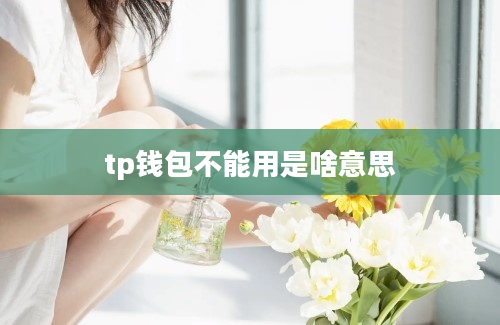 tp钱包不能用是啥意思