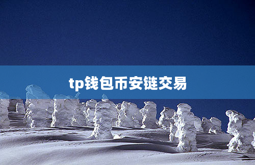 tp钱包币安链交易