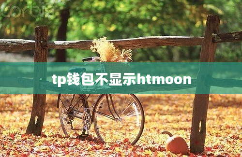 tp钱包不显示htmoon