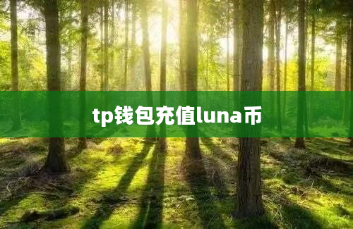 tp钱包充值luna币