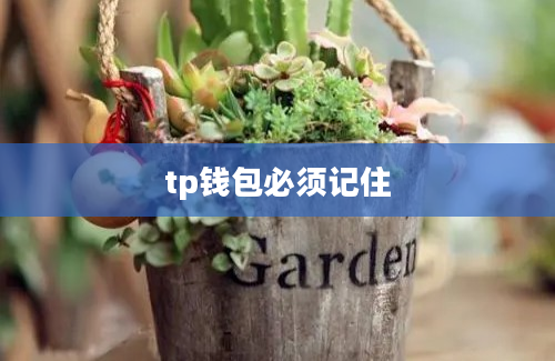 tp钱包必须记住