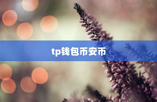 tp钱包币安币