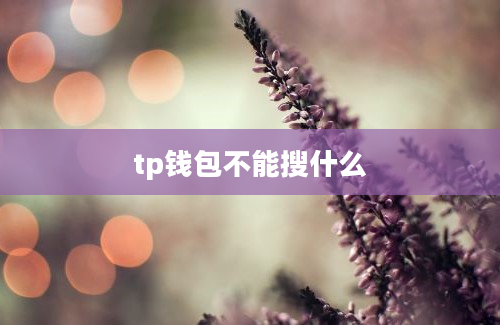 tp钱包不能搜什么
