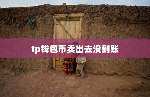 tp钱包币卖出去没到账