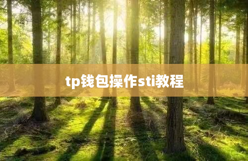 tp钱包操作sti教程