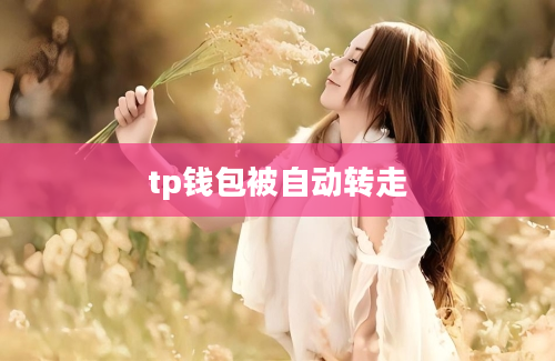 tp钱包被自动转走