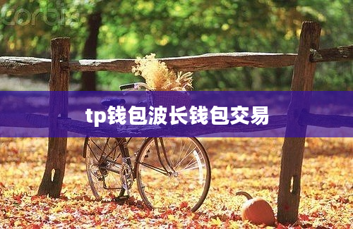 tp钱包波长钱包交易