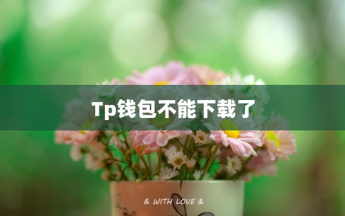 Tp钱包不能下载了