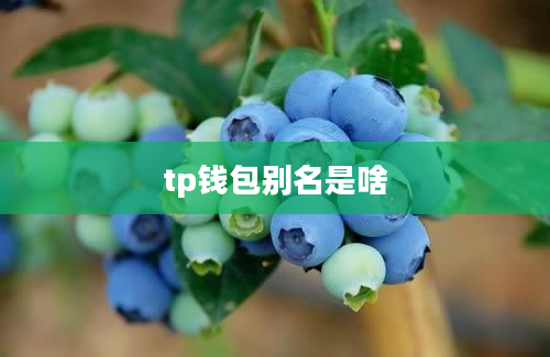 tp钱包别名是啥