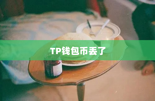TP钱包币丢了
