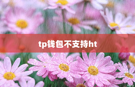 tp钱包不支持ht