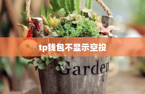 tp钱包不显示空投