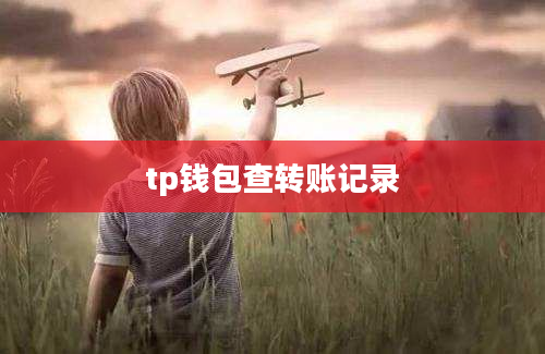 tp钱包查转账记录