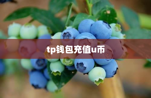 tp钱包充值u币