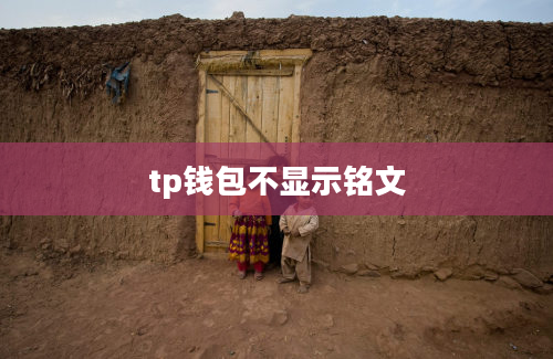 tp钱包不显示铭文