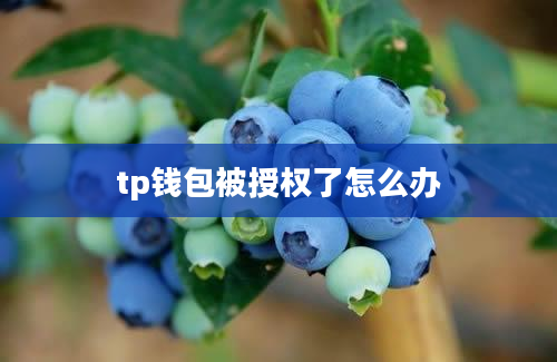 tp钱包被授权了怎么办