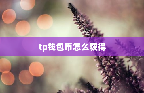 tp钱包币怎么获得