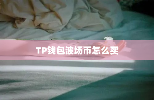 TP钱包波场币怎么买