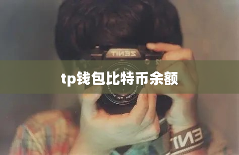 tp钱包比特币余额