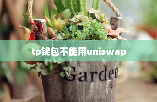tp钱包不能用uniswap