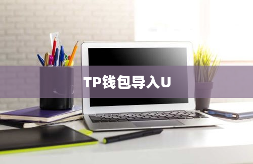 TP钱包导入U