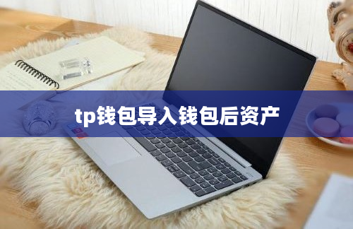 tp钱包导入钱包后资产