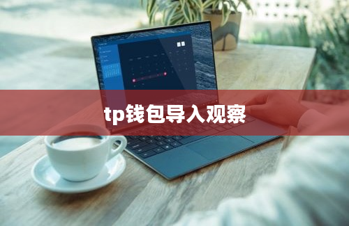 tp钱包导入观察