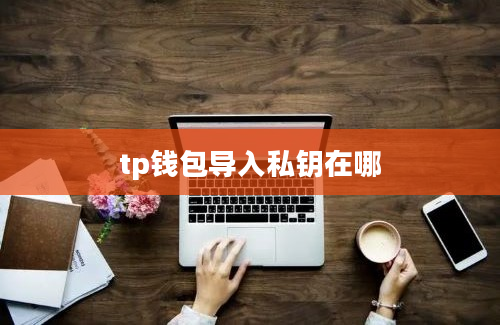tp钱包导入私钥在哪