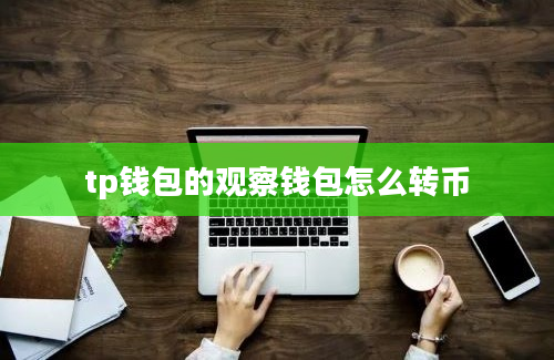 tp钱包的观察钱包怎么转币