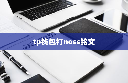 tp钱包打noss铭文