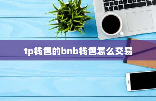 tp钱包的bnb钱包怎么交易