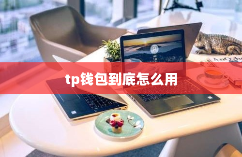 tp钱包到底怎么用