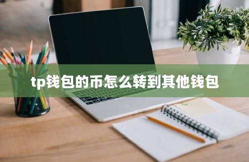 tp钱包的币怎么转到其他钱包