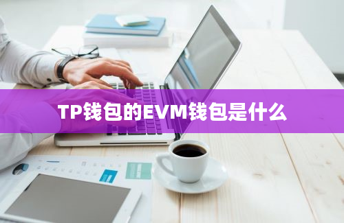 TP钱包的EVM钱包是什么
