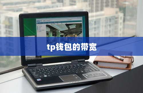 tp钱包的带宽