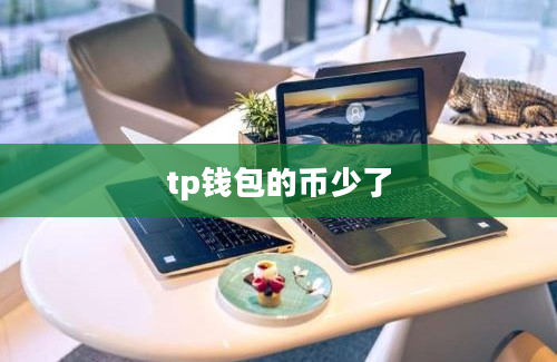 tp钱包的币少了