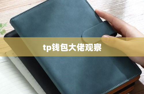 tp钱包大佬观察
