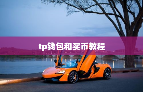 tp钱包和买币教程