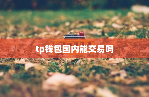tp钱包国内能交易吗