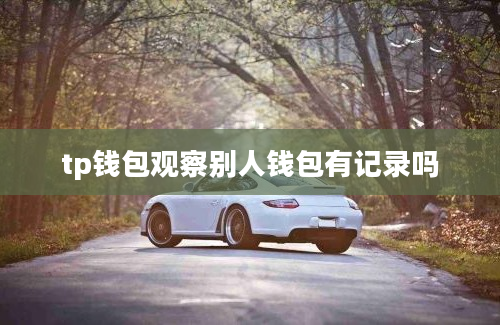 tp钱包观察别人钱包有记录吗